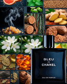 ادکلن مردانه بلو د شنل | bleu de chanel