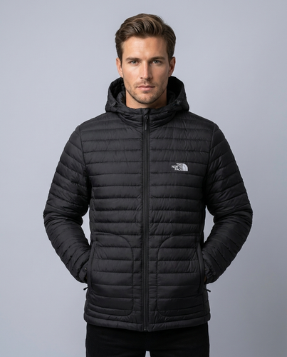 کاپشن اورجـ ینال مردانه ضدآب از بـ رند نورث فیس | 🇺🇸North face